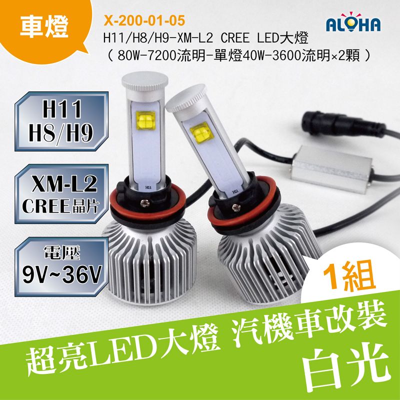 H11/H8/H9-XM-L2 CREE LED大燈